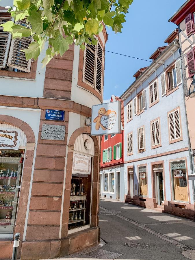 Le Nid Cosy - En Plein Coeur De Selestat Sélestat Exterior foto